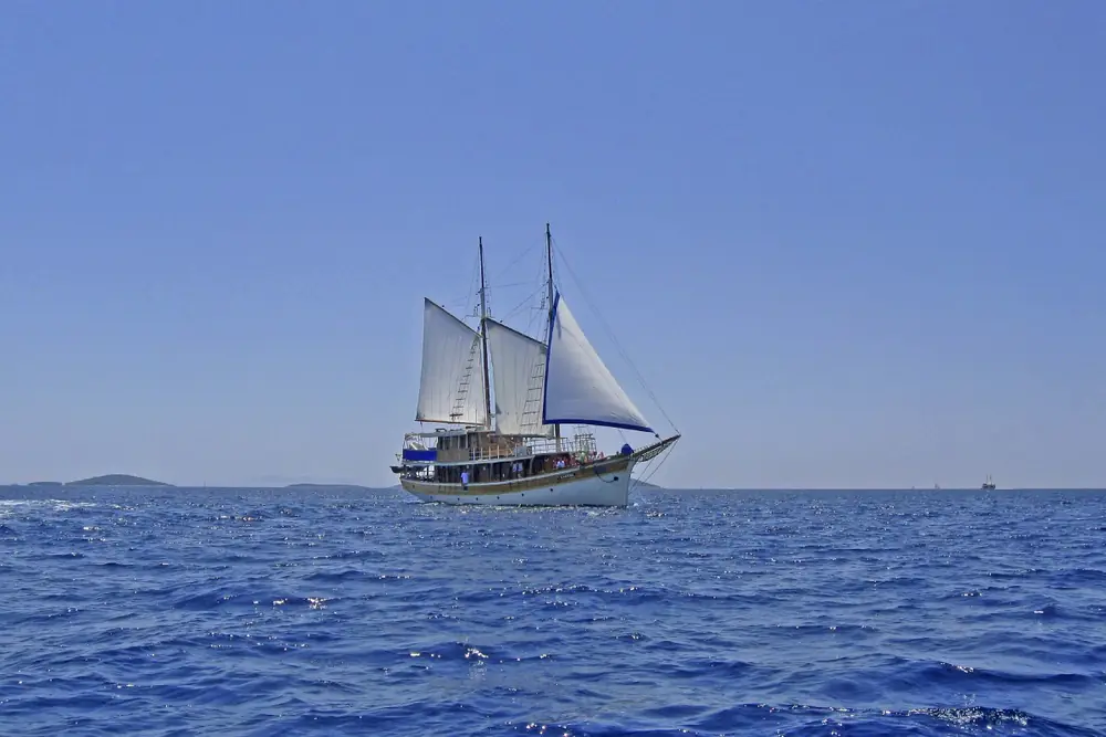 MS Sagena – Aufnahme 4